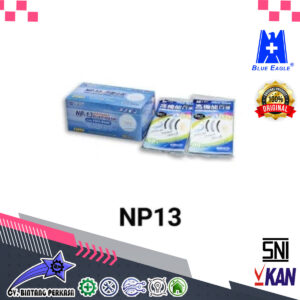 BLUE EAGLE PPE Dust Mask NP13