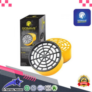 GOSAVE Catridge Rc203